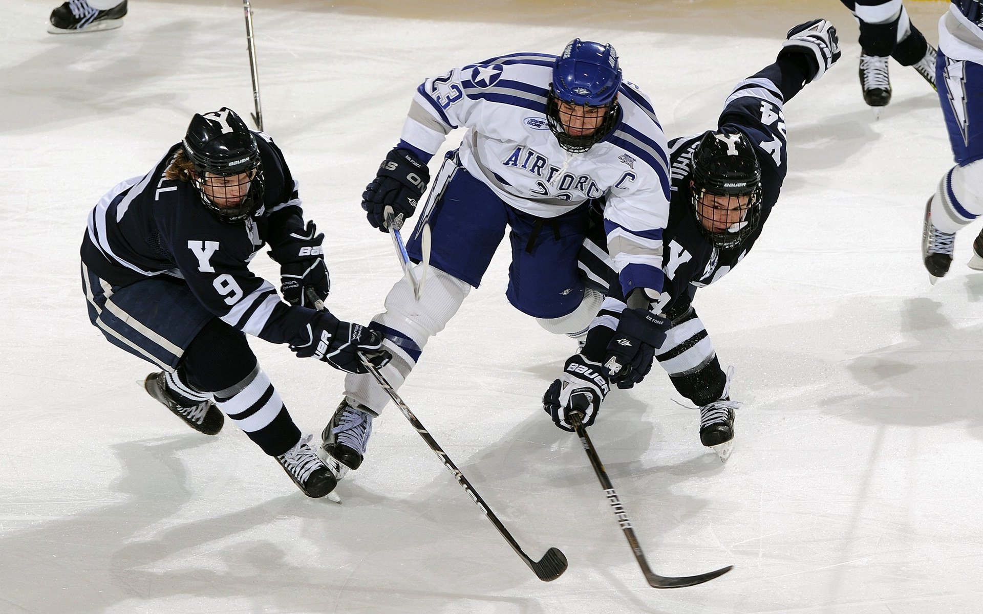 中国游泳队闪耀世锦赛,张雨霏破纪录夺金,新生代小将崭露头角