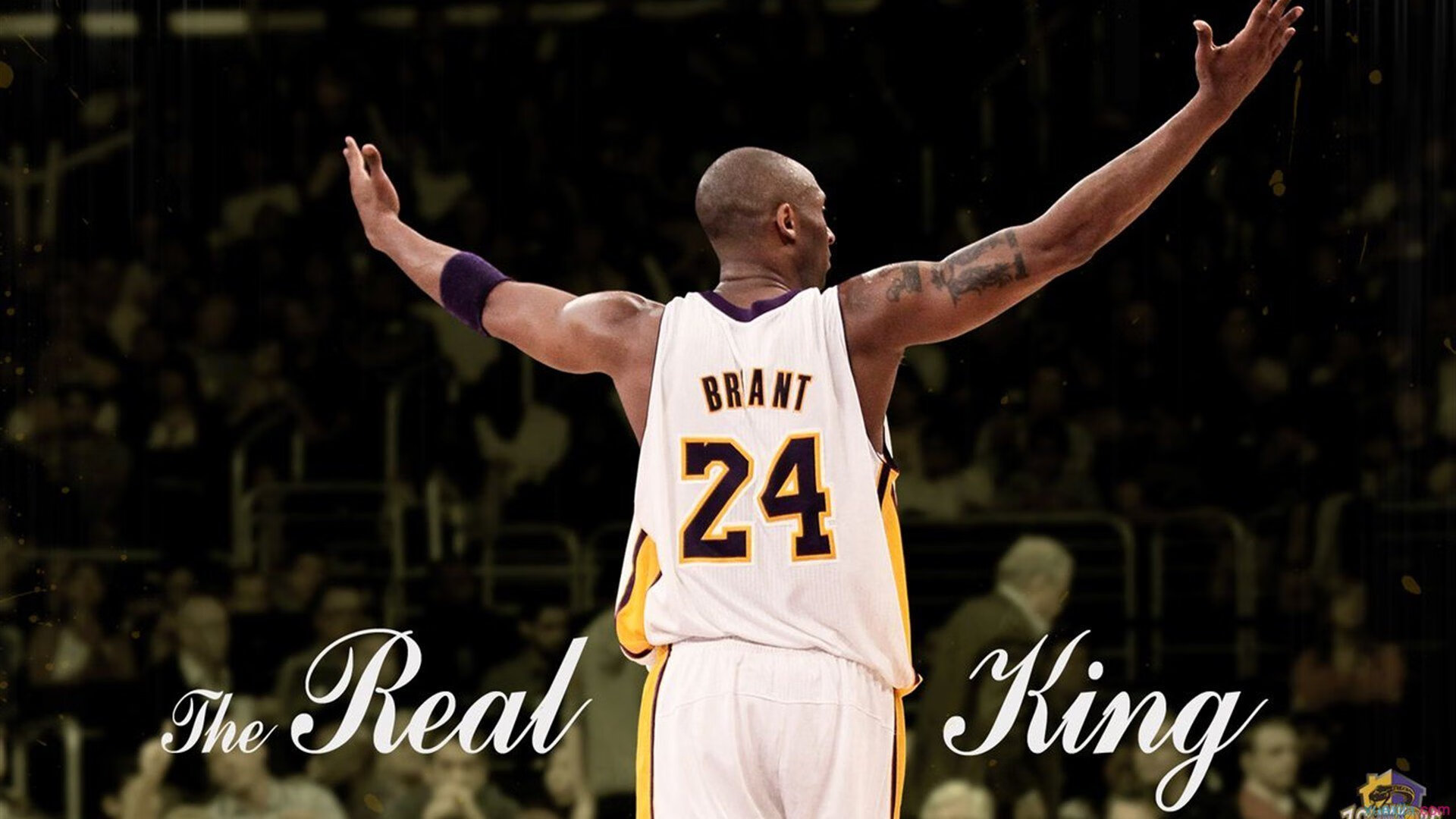 潘展乐勇夺世锦赛金牌 中国游泳再创辉煌